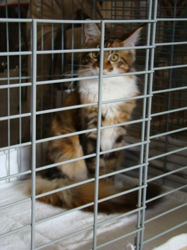 20111023_90 (expo)
